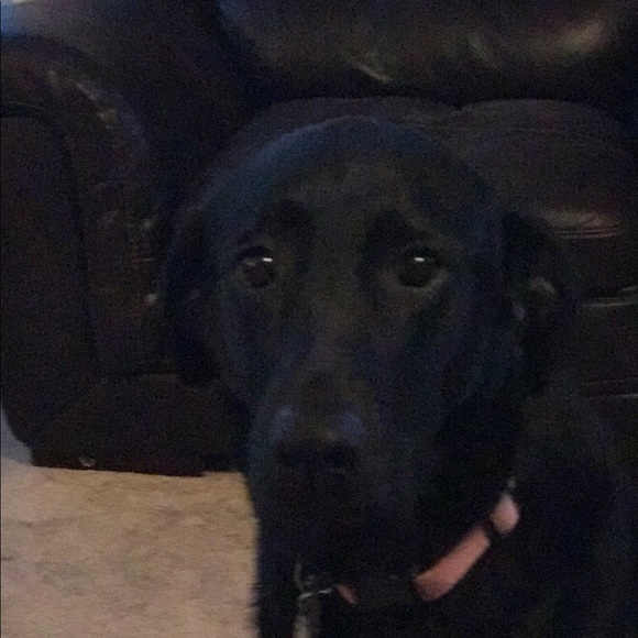 Meet the Posher - Picture 2 of 6